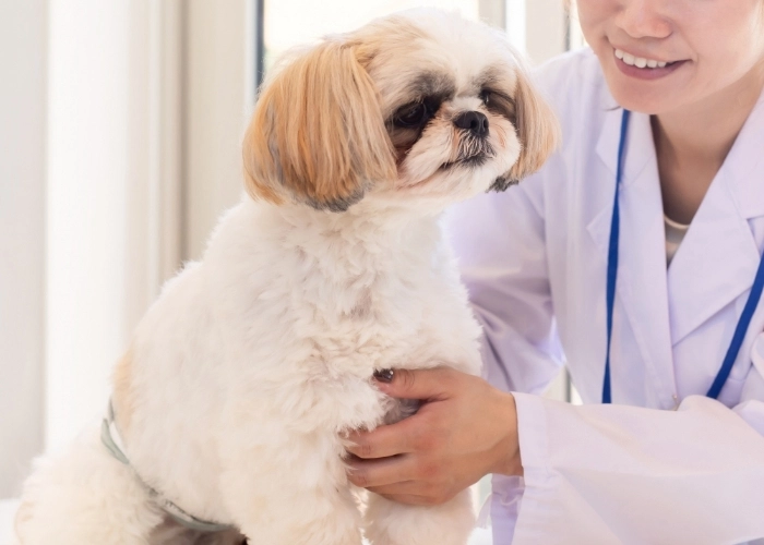 狂犬病ワクチン